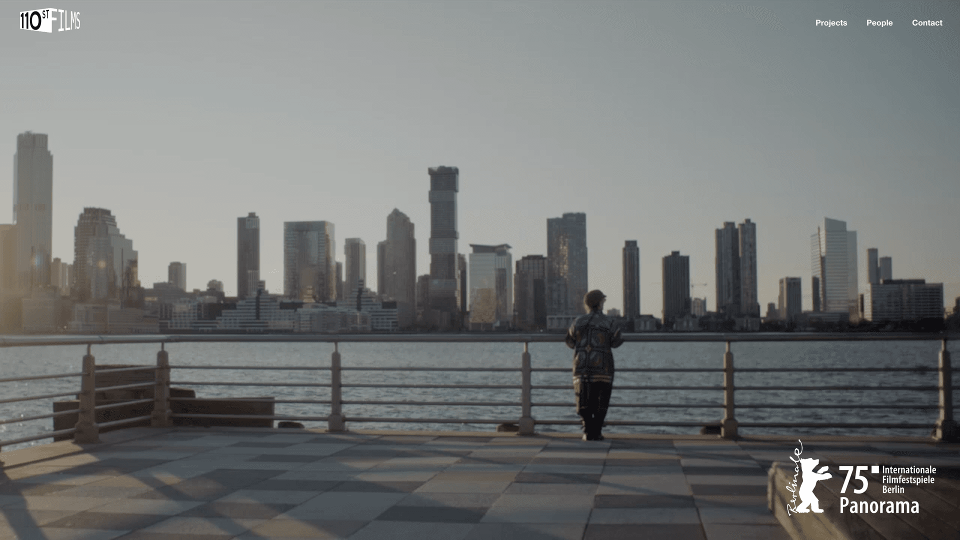 Homepage of 110thstreet.com