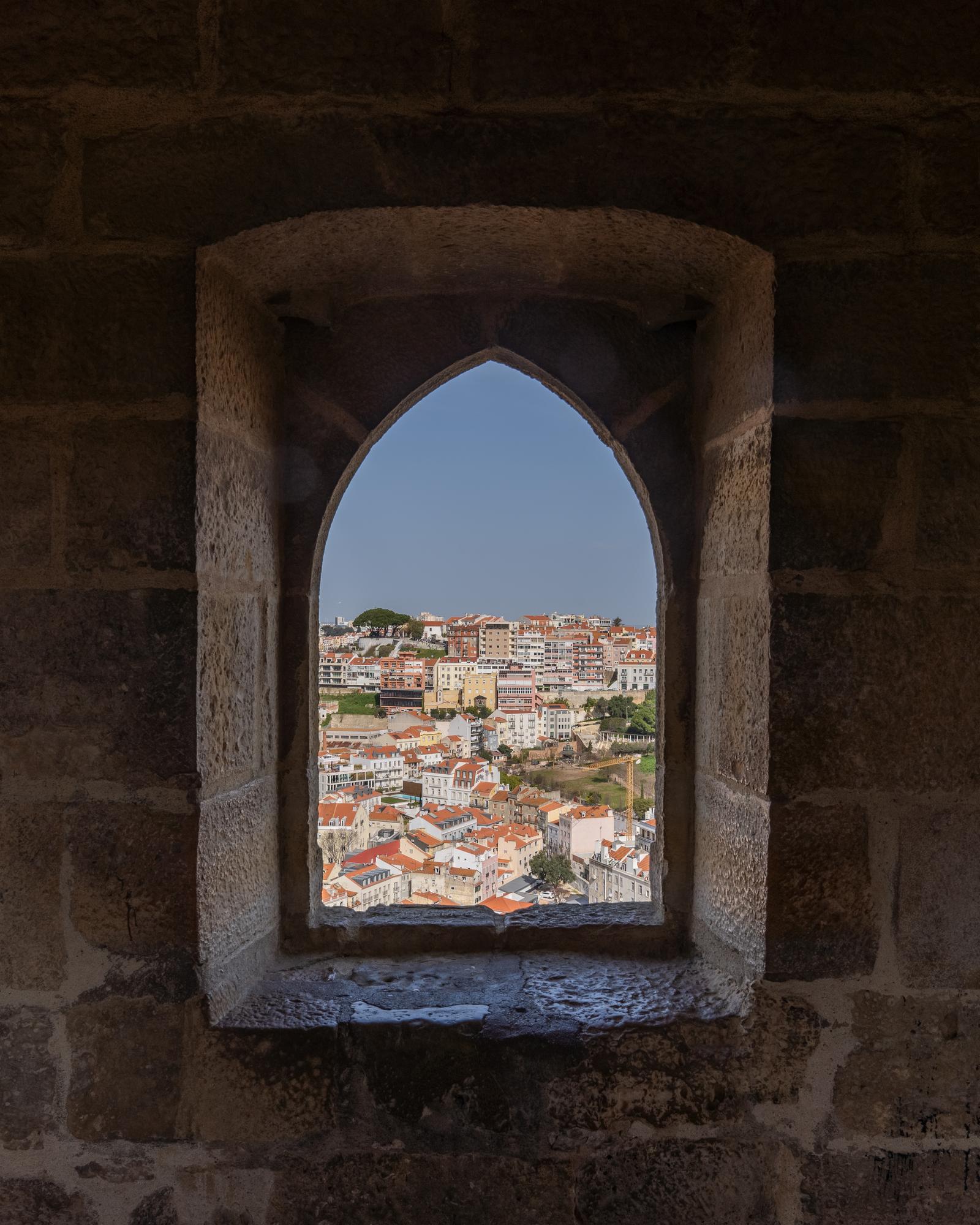 Looking north from the Castelo de S. Jorge.