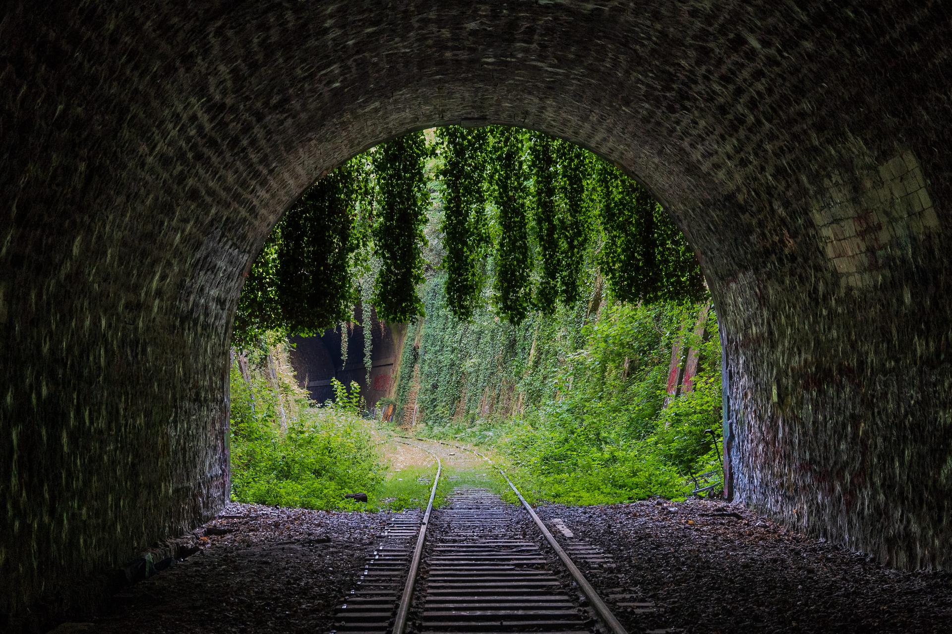 Abandoned tracks along the Petite Ceinture.